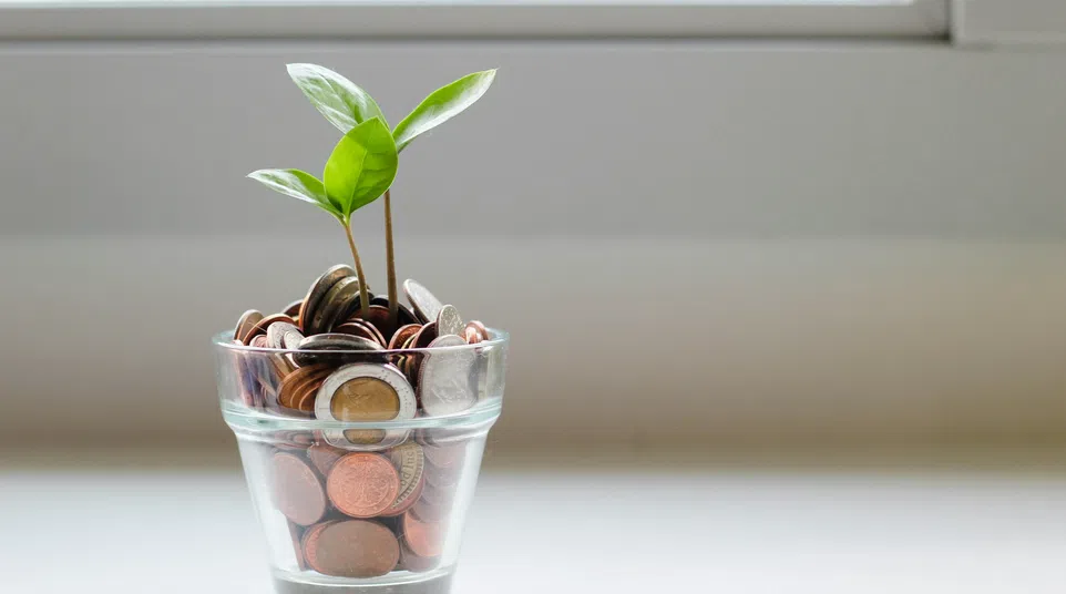 Small green plant growing from glass filled with assorted coins symbolizing financial growth and investment.