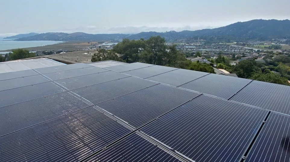 a group of solar panels