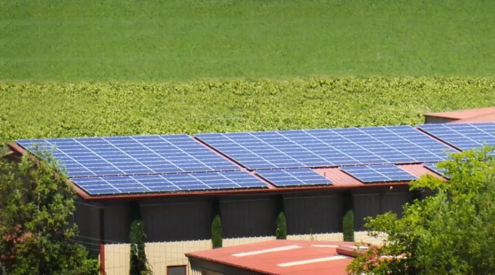 a group of solar panels