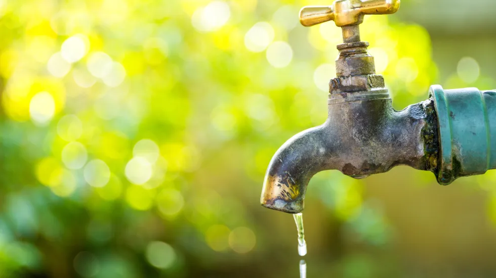 Tips for Greener Plumbing to Save You Money