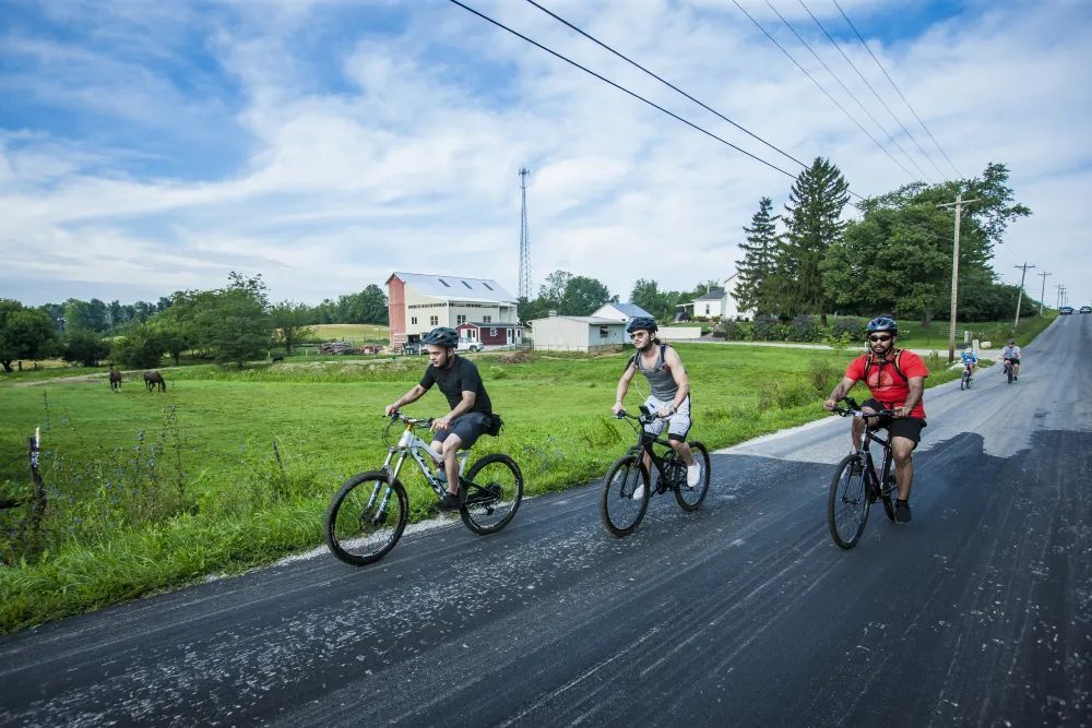 a group of people riding bikes on a road