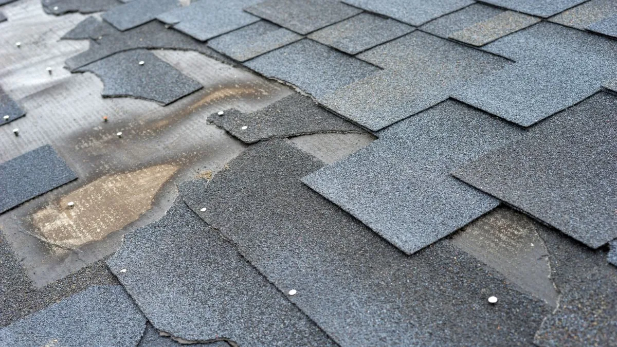Damaged asphalt roof shingles with wear, showing missing granules and exposed underlayment in Macon, Georgia