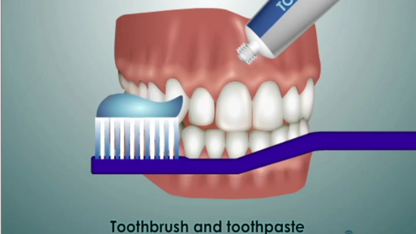 Illustration of a toothbrush with toothpaste next to a model of teeth and gums for dental care.