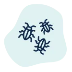 Illustration of three dark blue bugs or insects on a light blue irregular background shape.