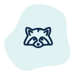 Minimalist raccoon face icon with bold navy lines on a light blue abstract background.