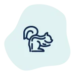 Minimalist line drawing of a squirrel in dark blue on a light blue irregular background shape.
