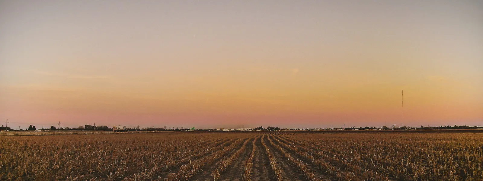 a field of wheat with a sunset in the background
