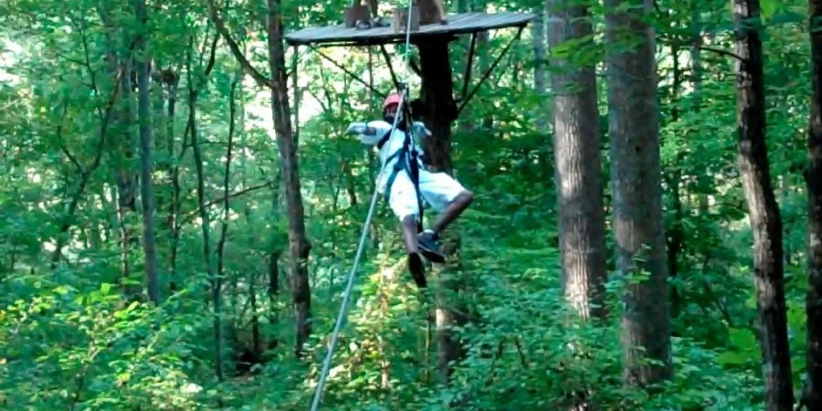 a person on a zip-line in the forest