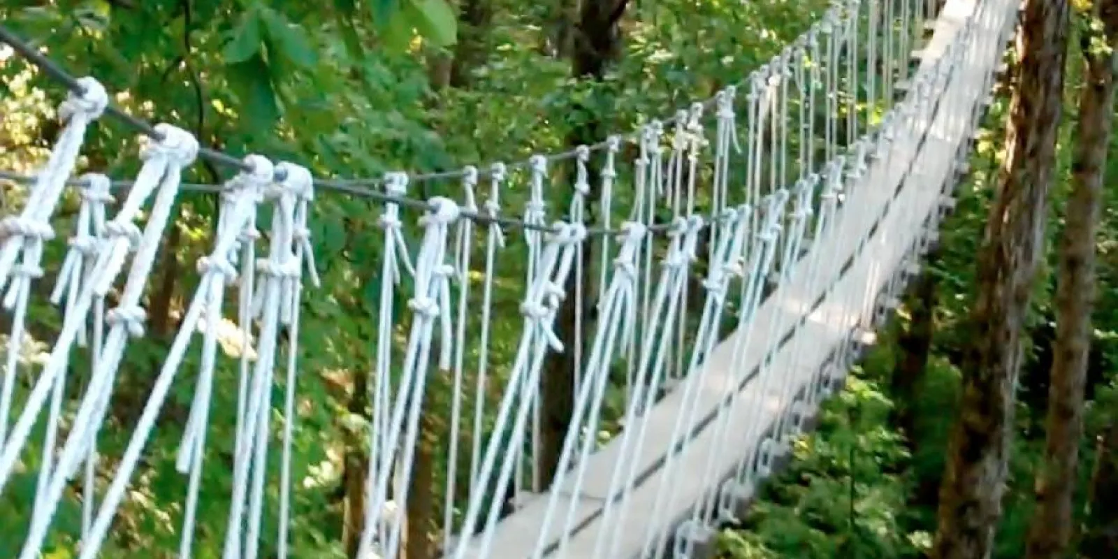 a close up of a bridge in the forest