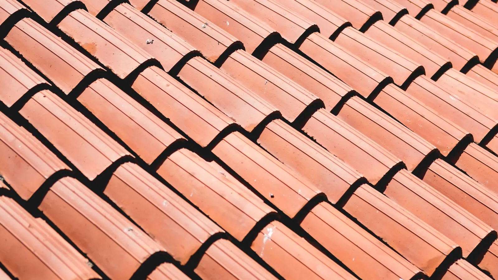 the roof of a building