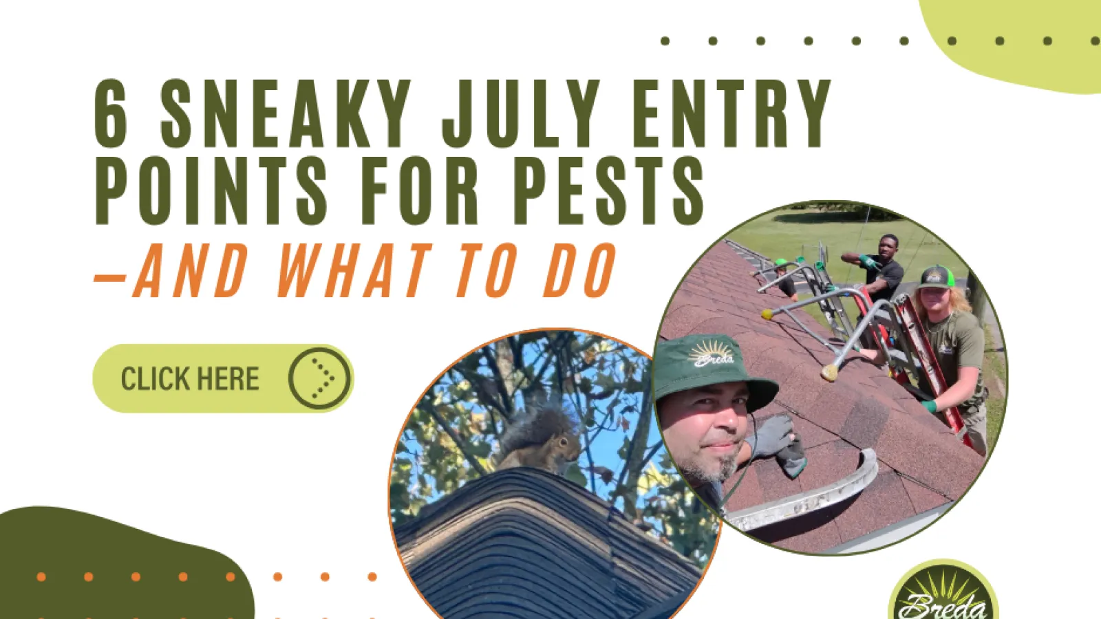 6 sneaky July pest entry points with images of a squirrel on a roof and pest control workers inspecting a roof.