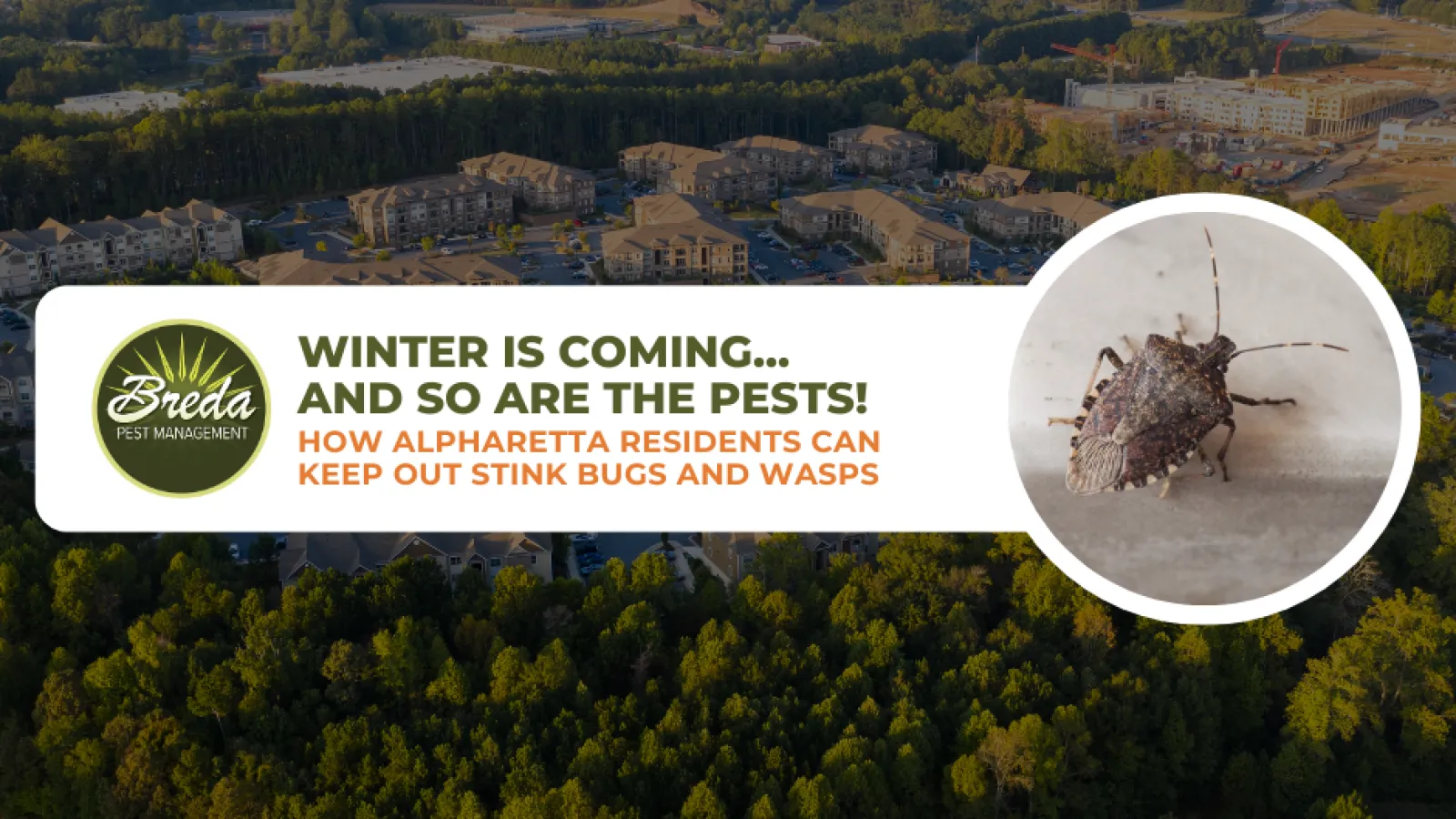 Alpharetta pest protection in winter