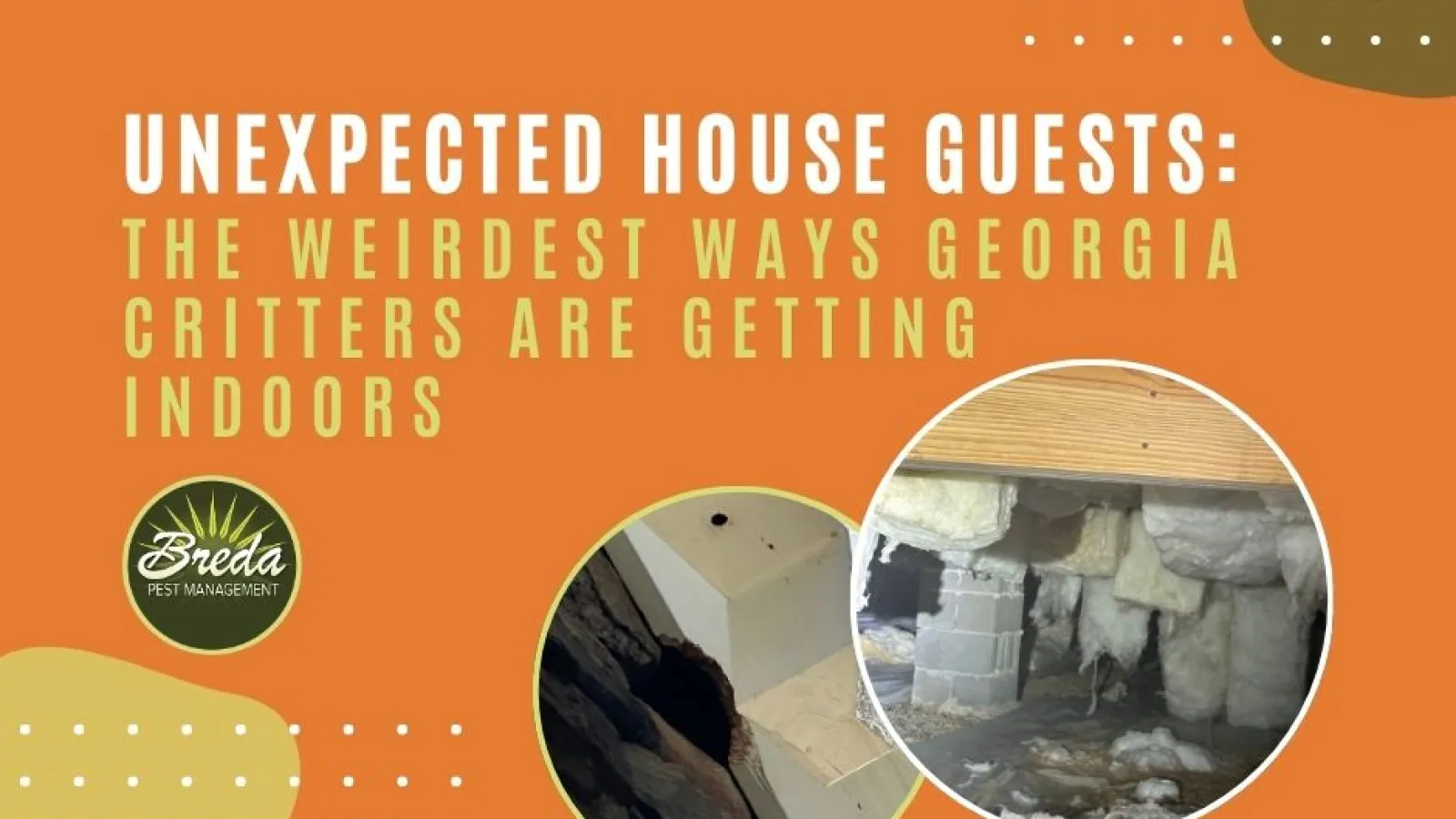 how critters get indoors BREDA Pest Management Georgia home pest control