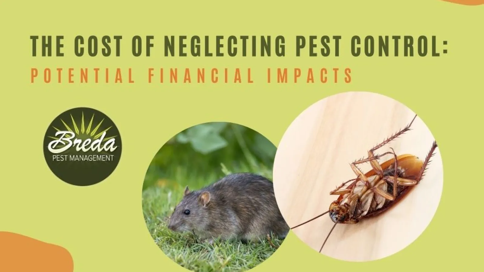 cost of neglecting pest control financial impacts roach rat