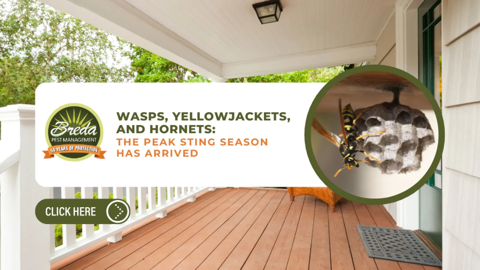 Front porch with wasp nest and wasp, promoting peak sting season and pest management services.