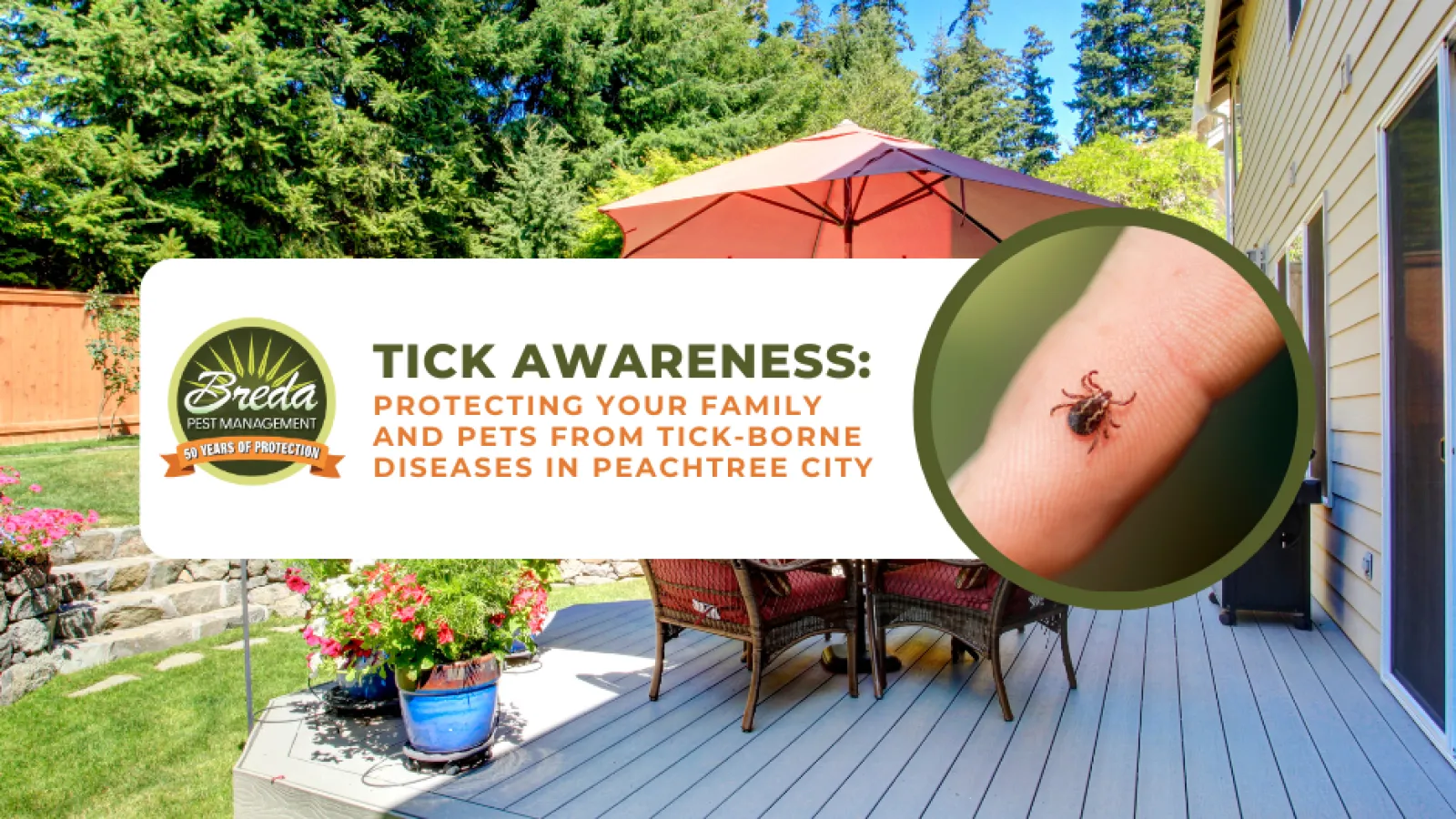 Backyard deck with outdoor umbrella and tick awareness ad showing a close-up of a tick on a finger.