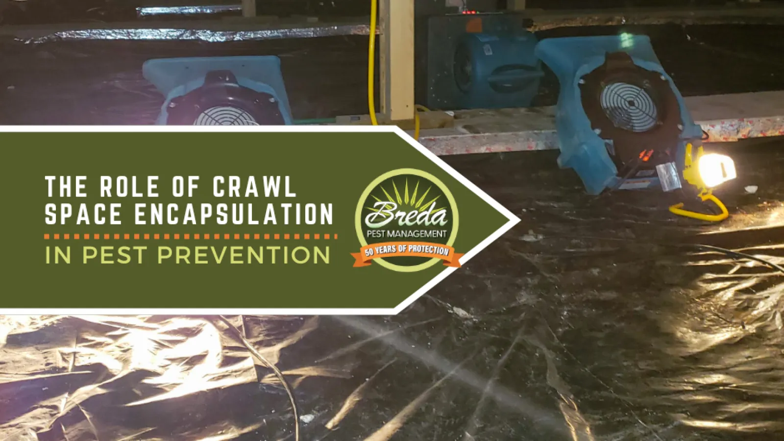 Crawl space encapsulation with black plastic sheeting and fans for pest prevention and moisture control.