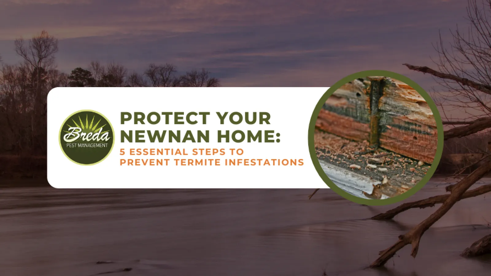 Newnan GA termite control and prevention prevent termite infestations