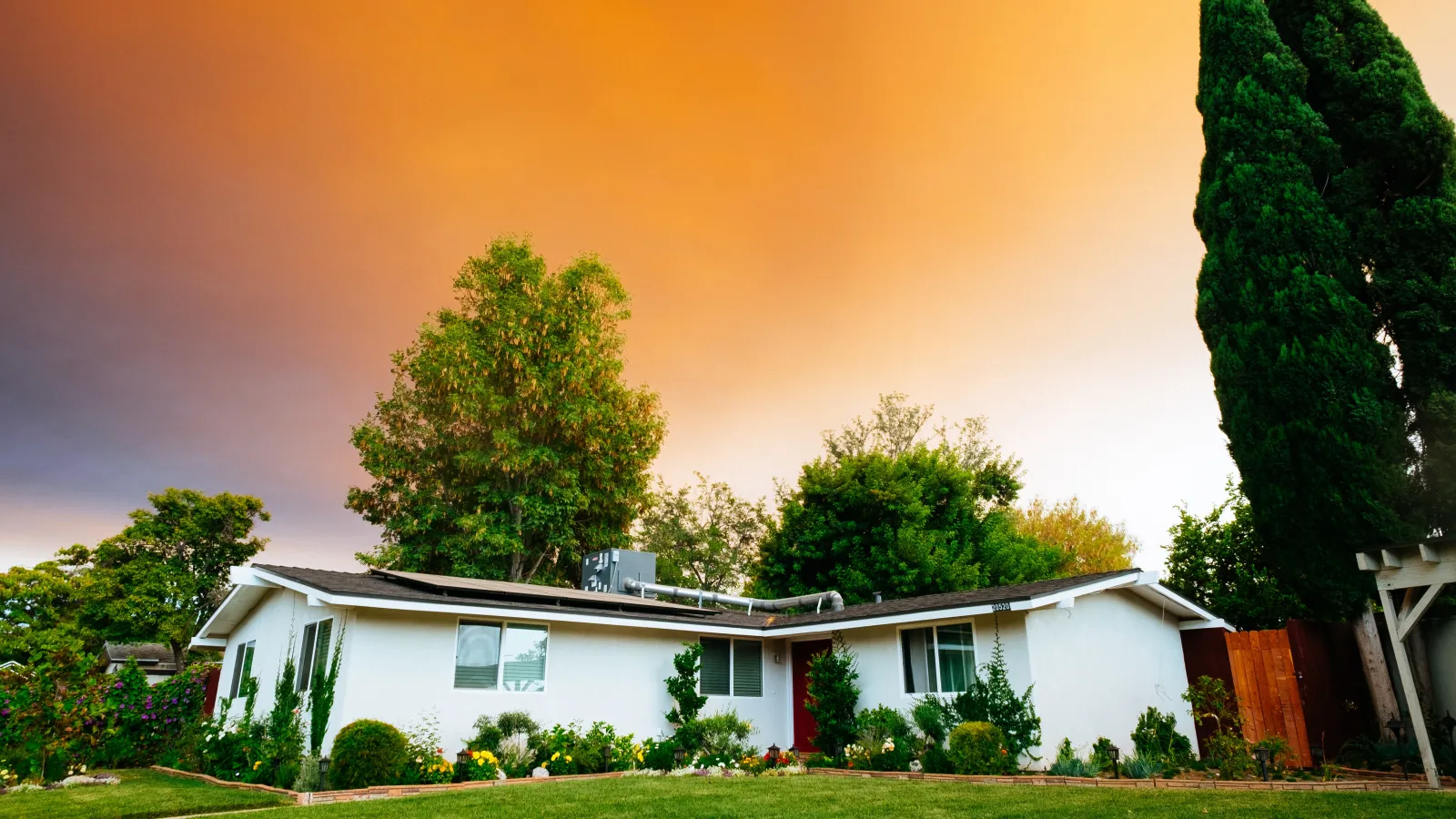 a tree in front of a house