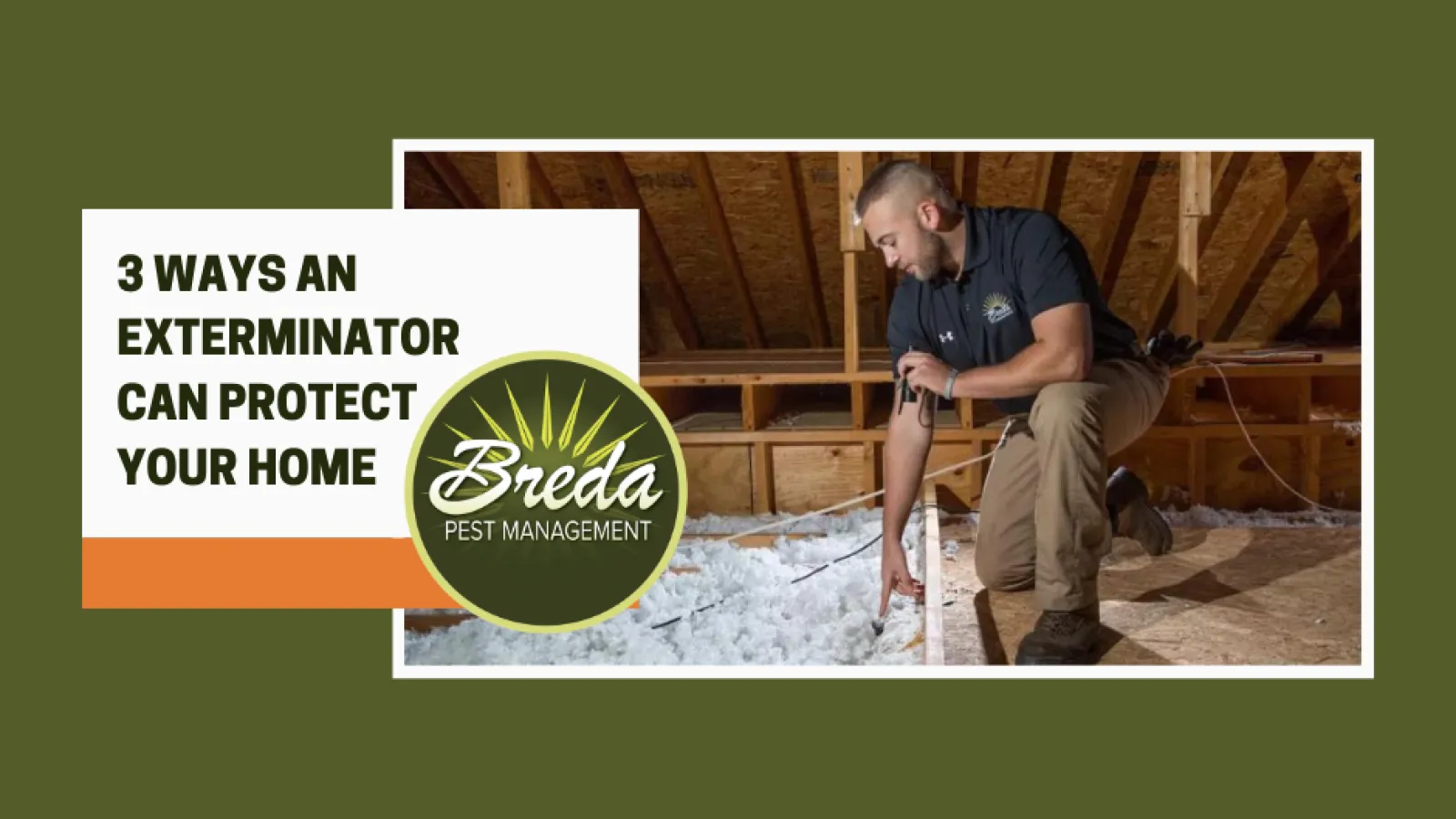 BREDA pest management technician in attic