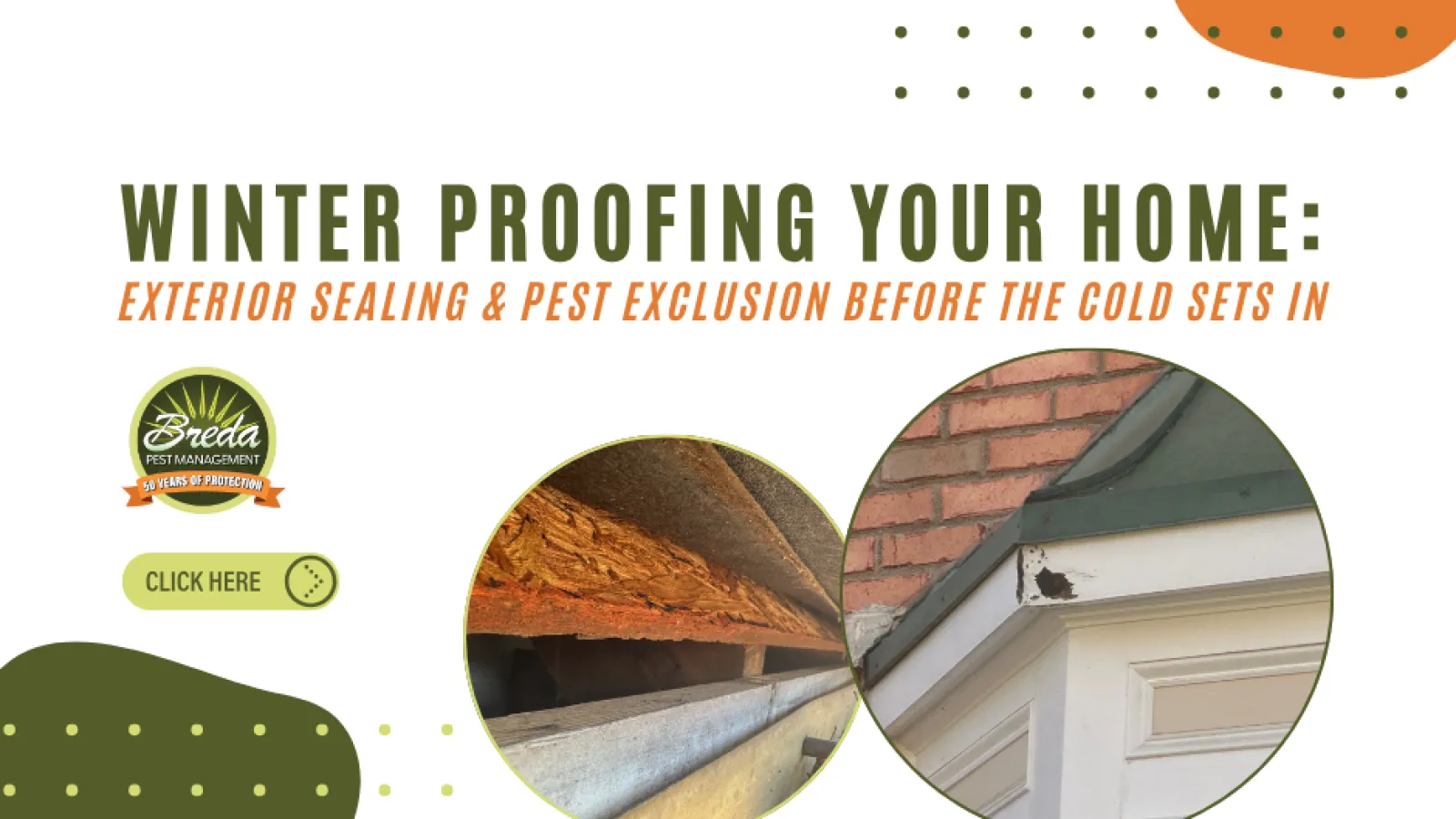 Winter proofing home with exterior sealing and pest exclusion tips before cold weather, showing damaged wood and sealant areas.