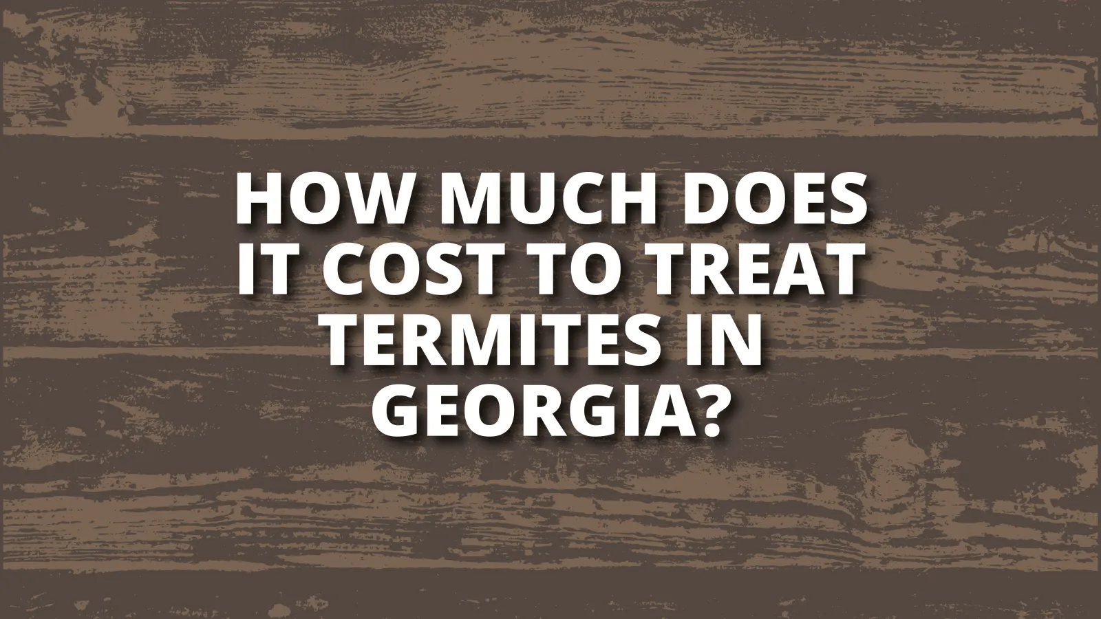The Cost of Repairing Termite Damage in Georgia hero image