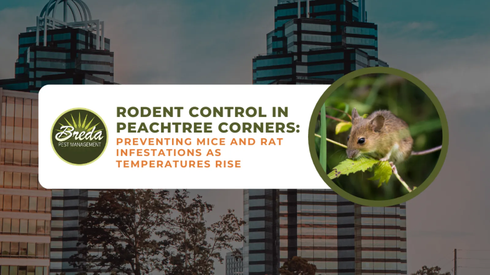 rodent control Peachtree Corners GA