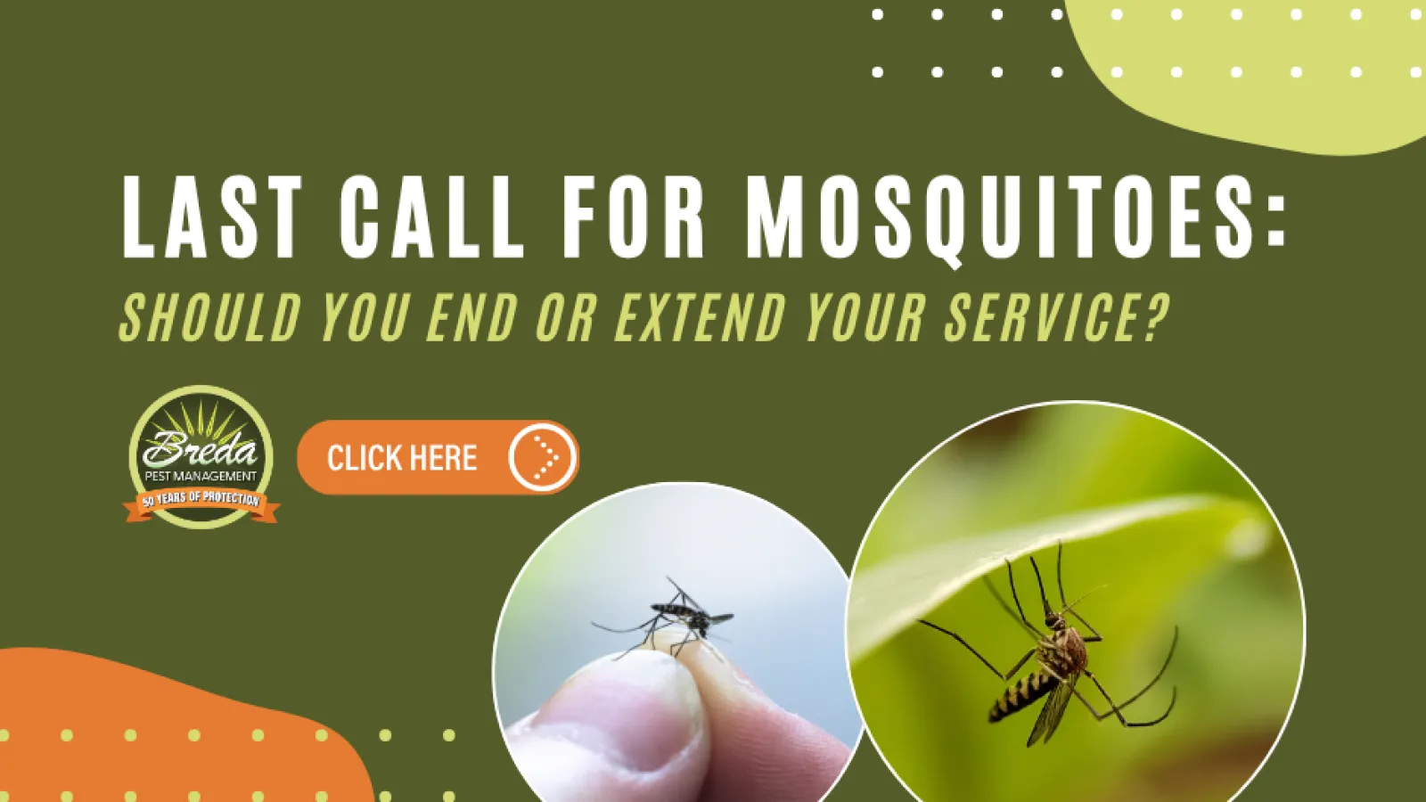 Last call for mosquito control with options to end or extend pest management service for protection.