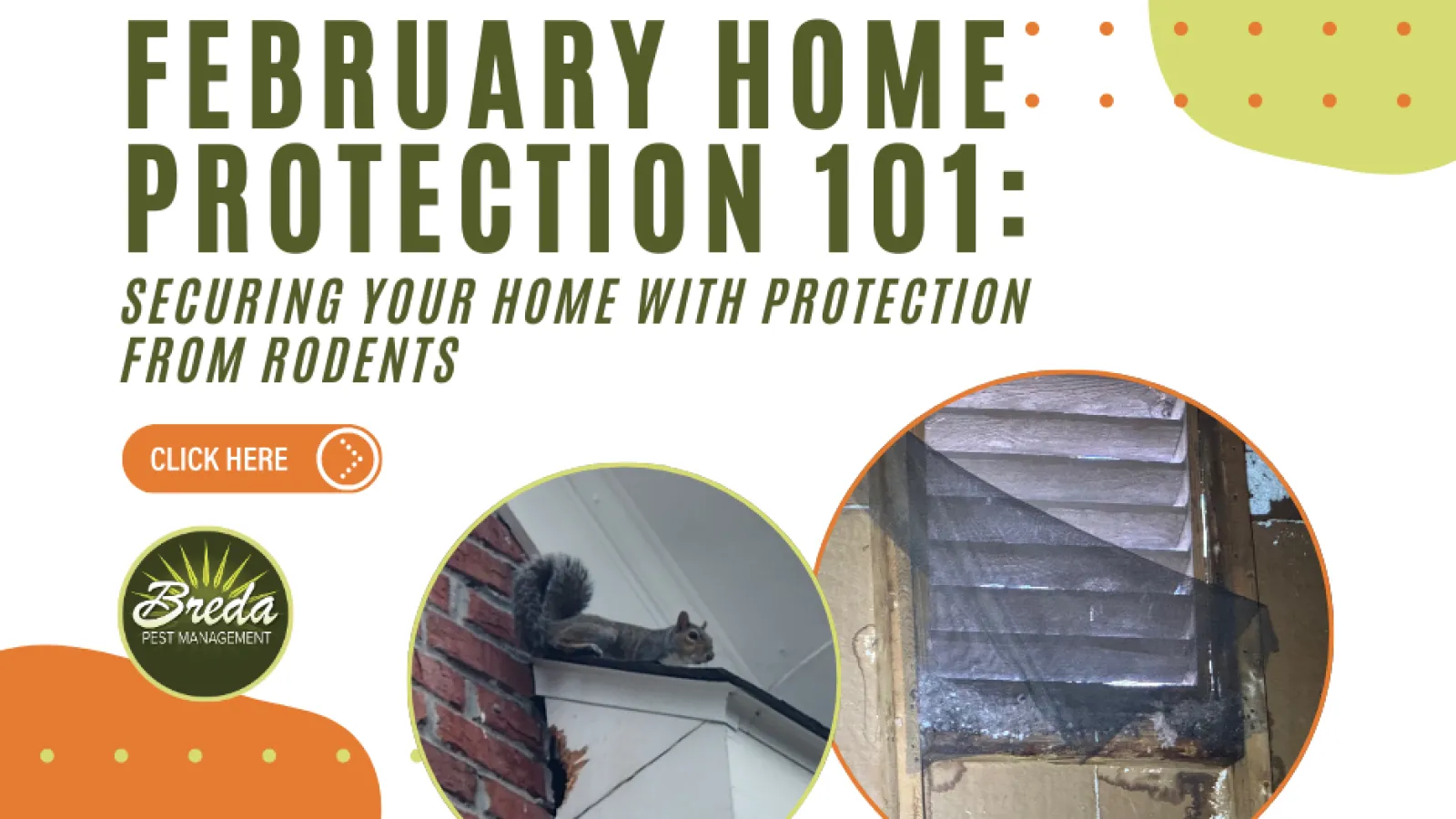 February Home Protection 101 graphic showing a squirrel on a roof and damaged window screen to prevent rodent entry.