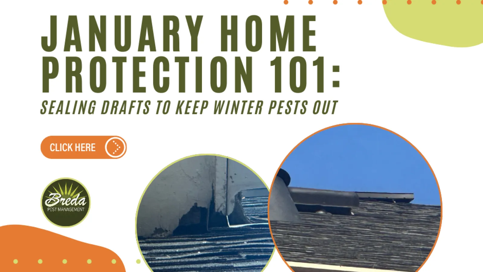 January home protection tips showing roof sealing to prevent winter pests with Breda Pest Management logo
