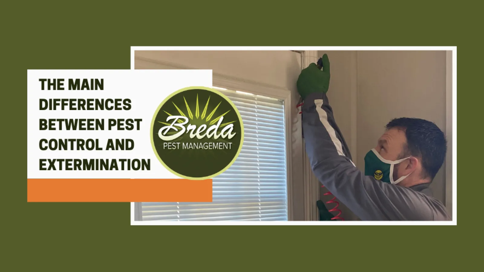 Bed Bug Exterminator Los Angeles Top Class Pest Exterminators