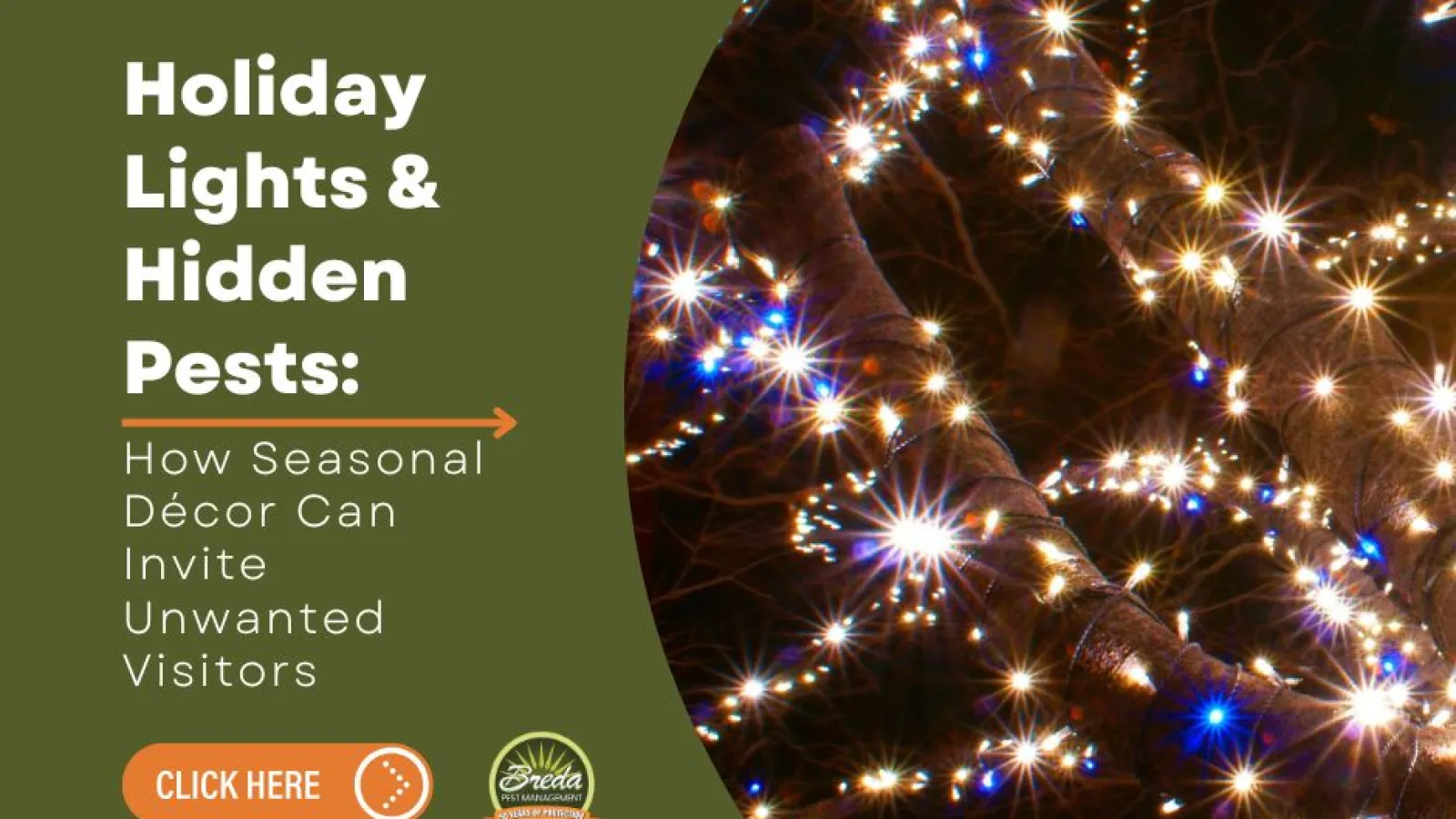 Holiday Lights & Hidden Pests: How Seasonal Décor Can Invite Unwanted Visitors hero image