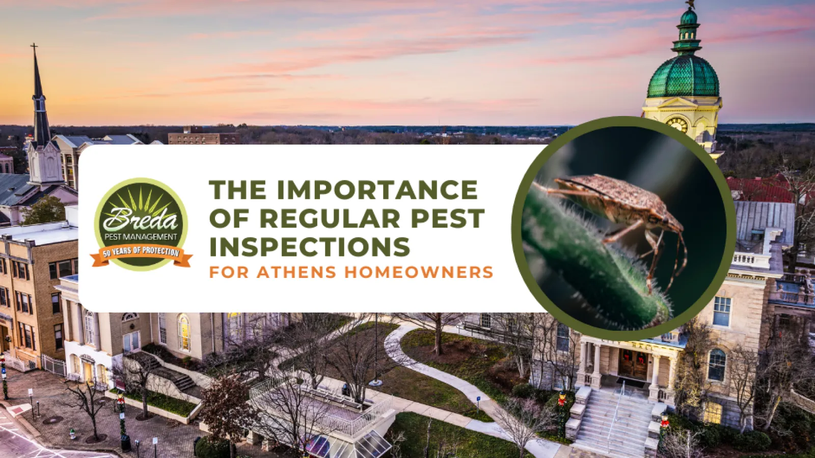 Aerial view of Athens city with text highlighting the importance of regular pest inspections for homeowners and a close-up of a pest insect.