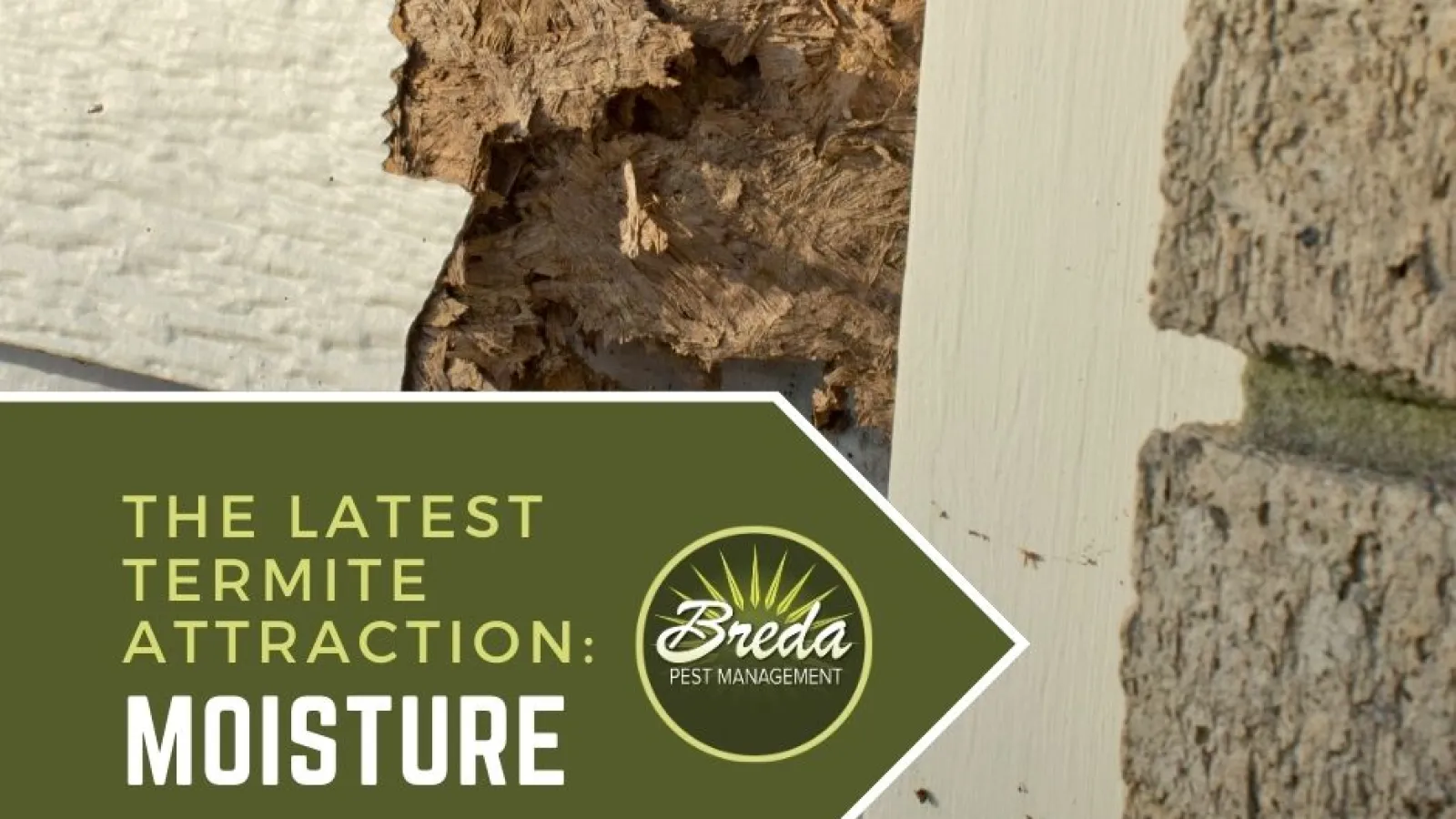 moisture damage to wood siding