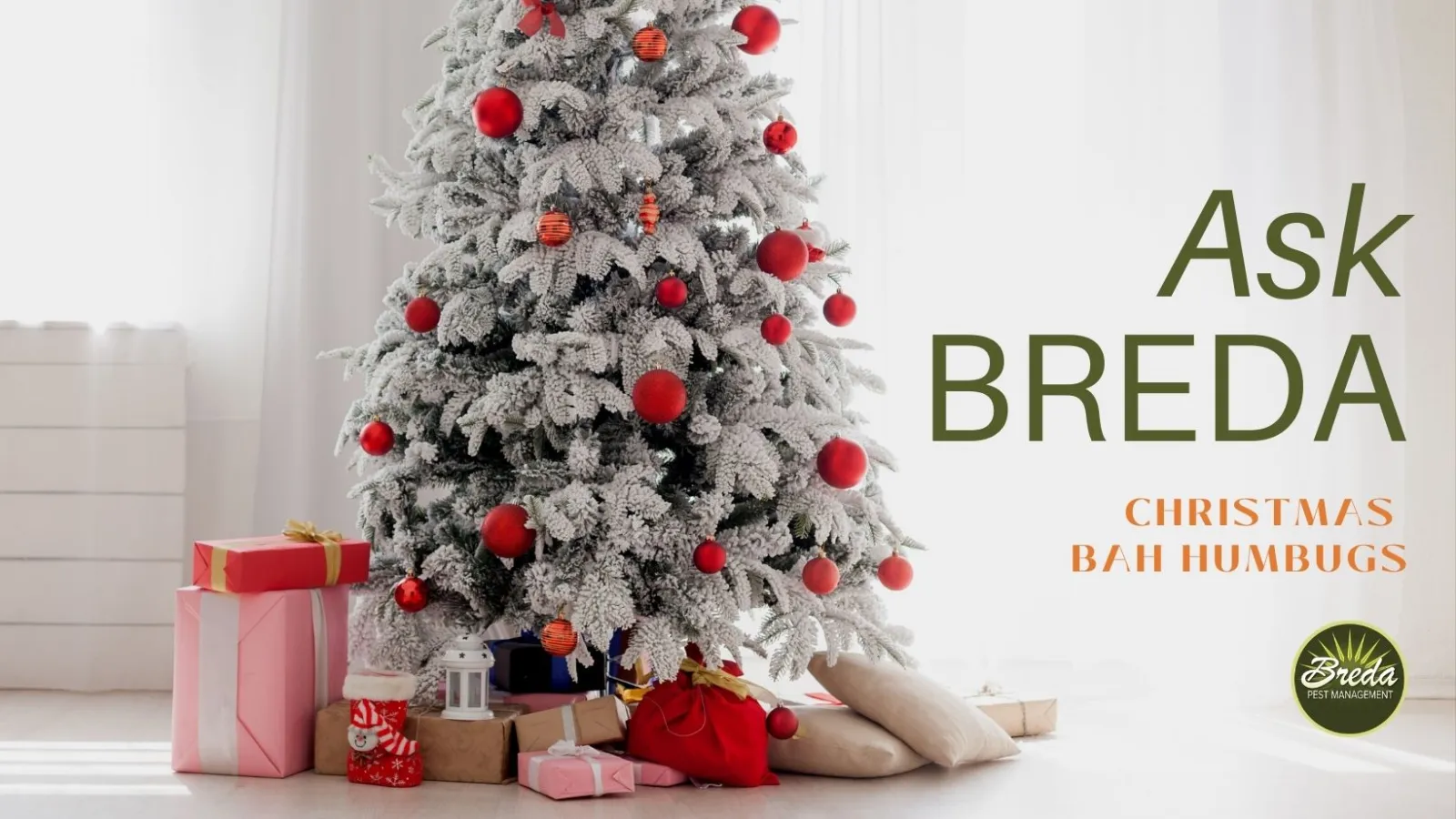 breda offers pest management services in atlanta during the christmas season