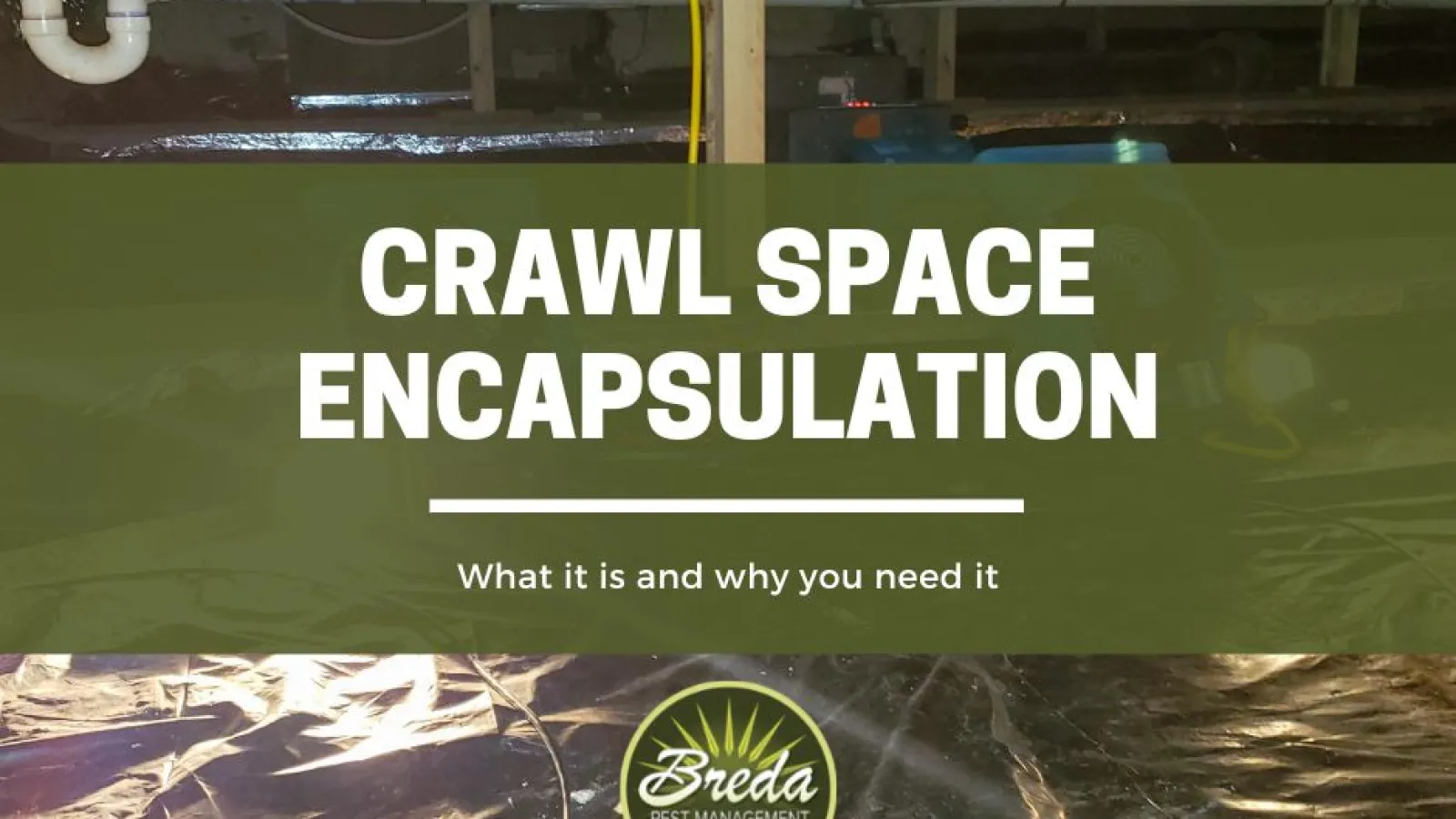 crawl space encapsulation BREDA pest management