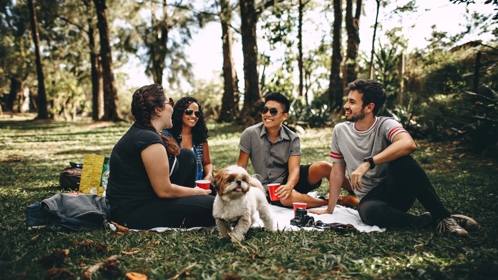 a group of people sitting on a blanket outside with a dog