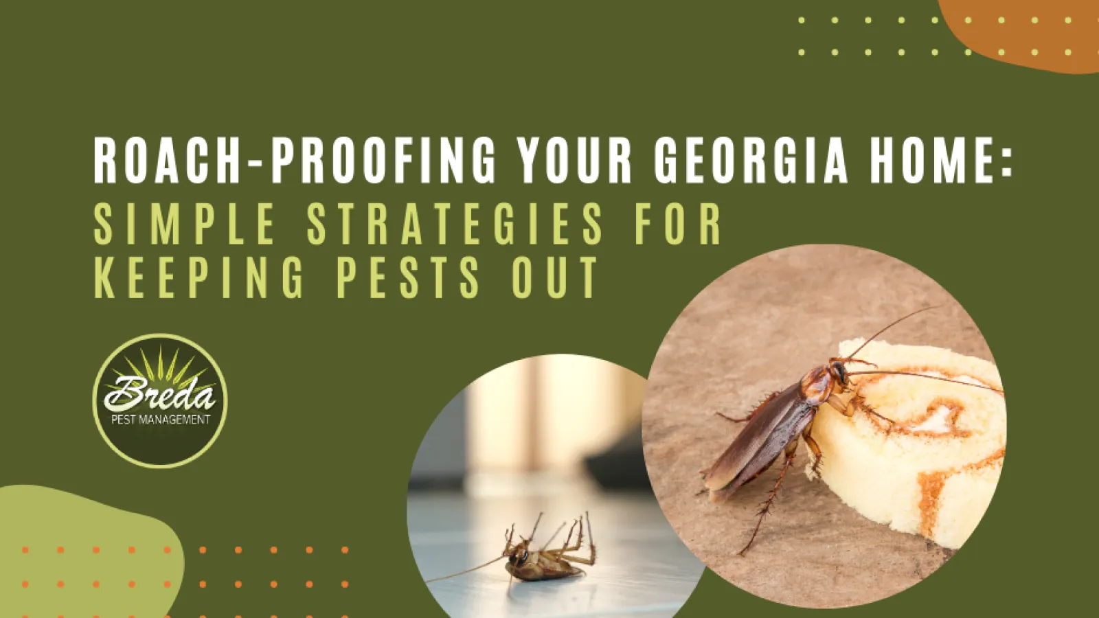 roach control in Georgia roach proofing your home