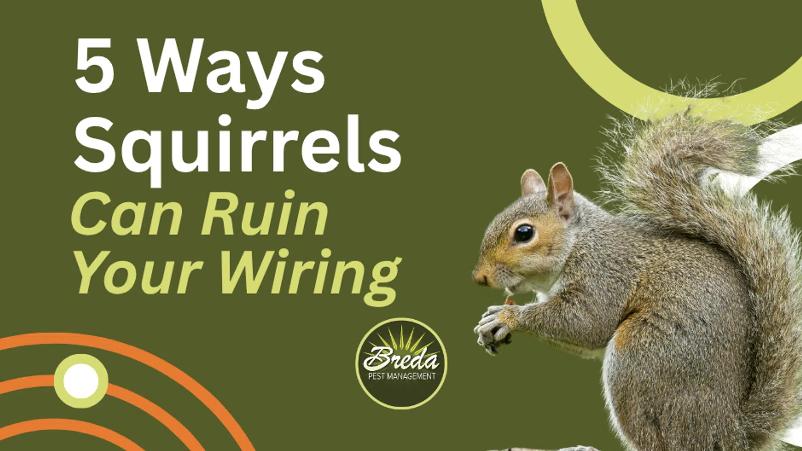 Squirrel on a tree stump next to text about 5 ways squirrels can ruin your wiring with Breda Pest Management logo.