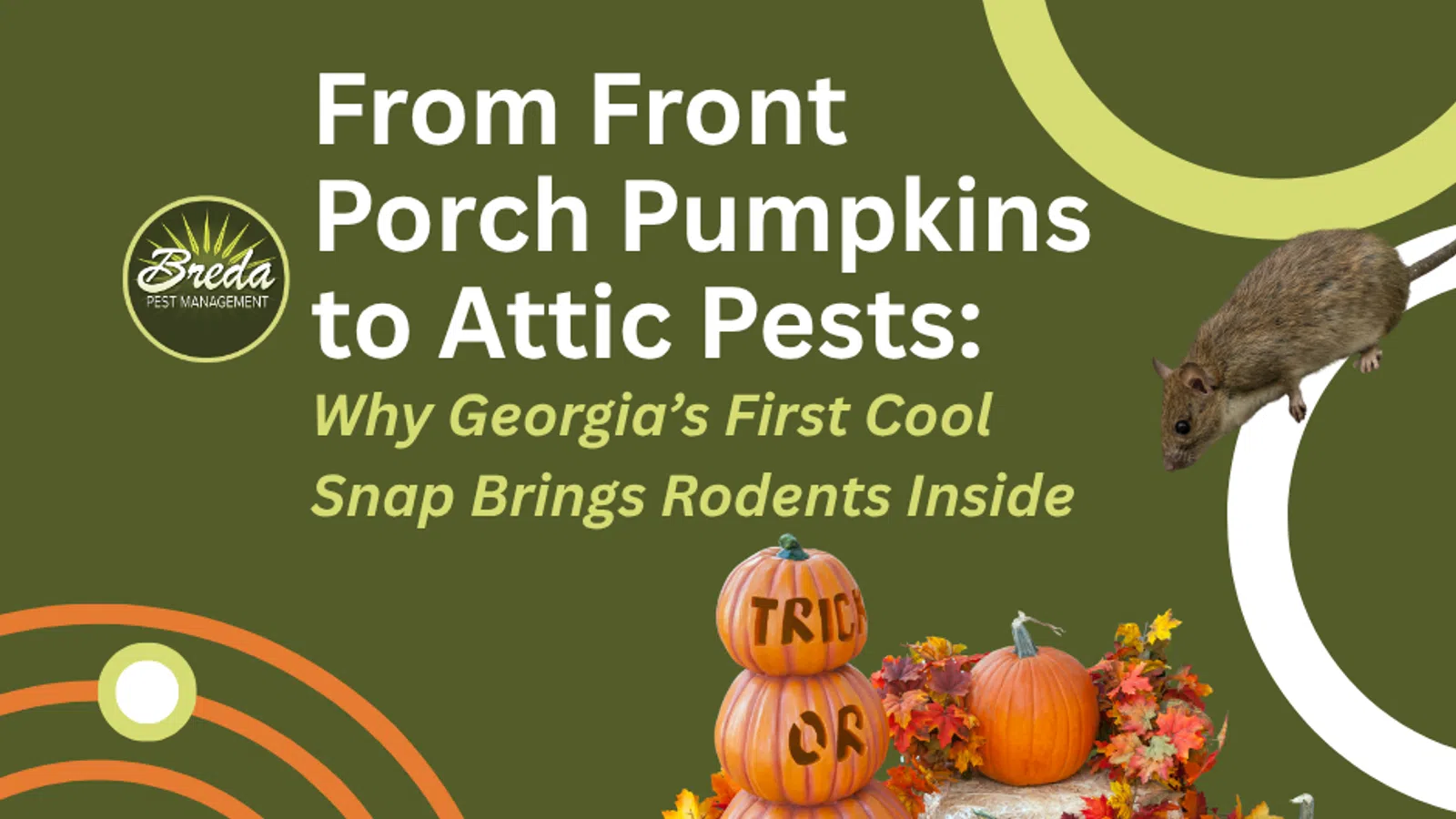 Autumn pumpkins and mouse illustration with text on Georgia's first cool snap bringing rodents inside on green background.