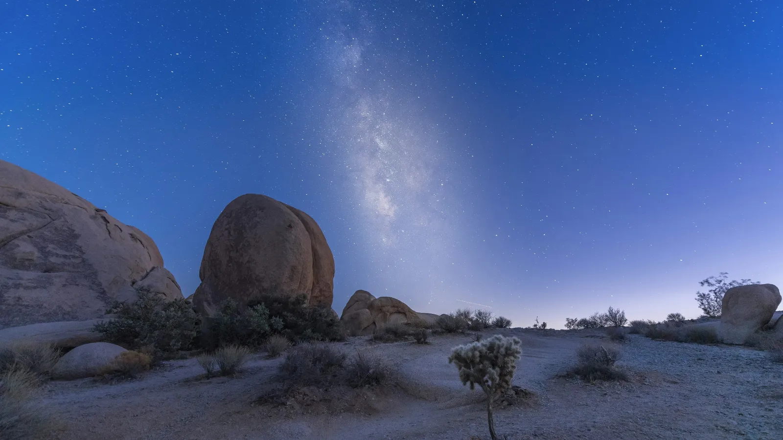 Night sky with stars and Milky Way over rocky desert landscape with sparse vegetation and large boulders.