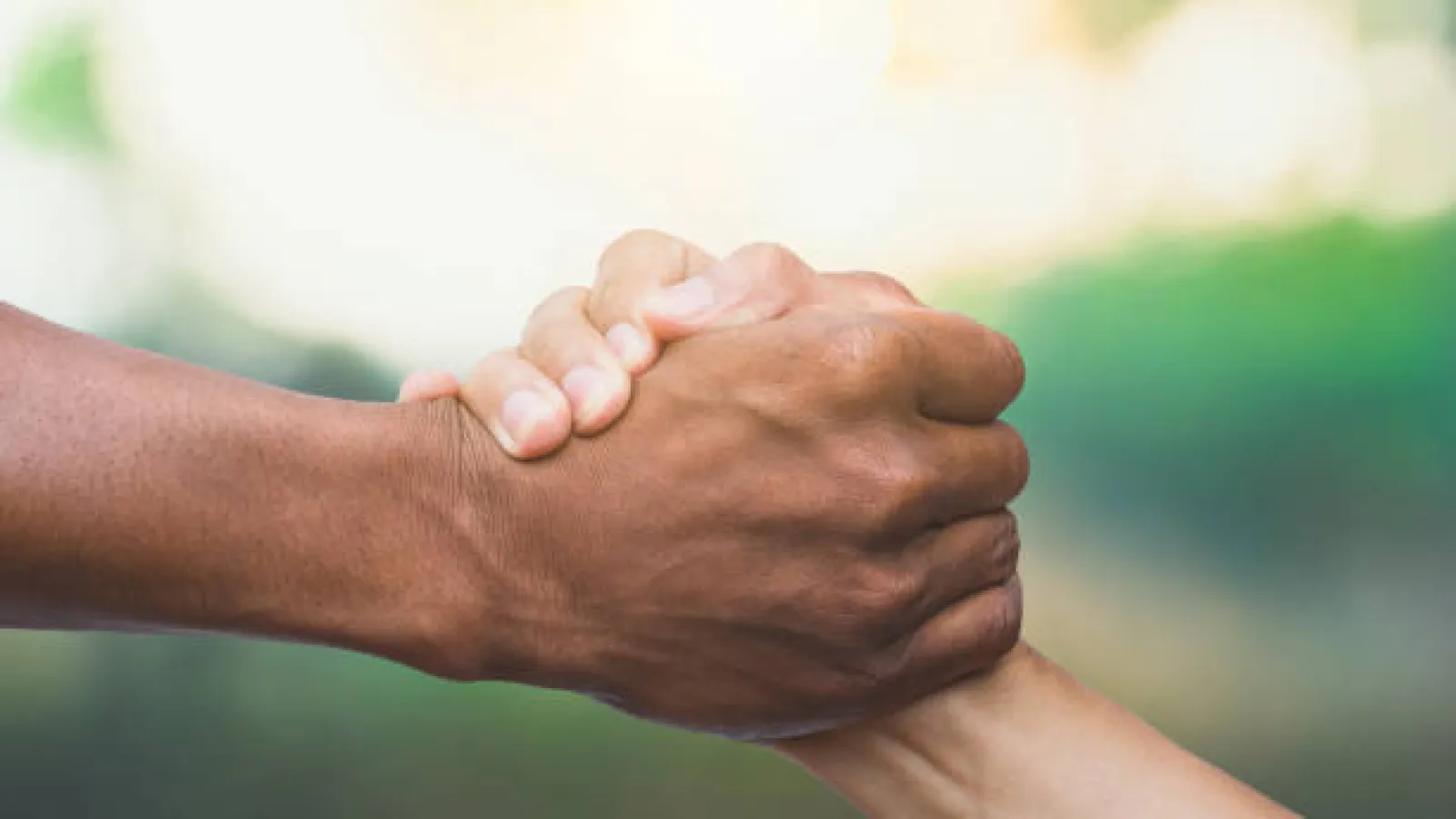Two hands firmly clasped in a handshake symbolizing unity and support against a blurred natural background