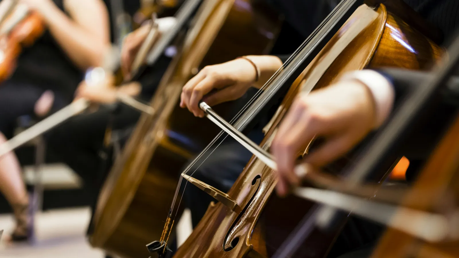 Close-up of musicians playing cello bows on wooden cellos in an orchestra setting