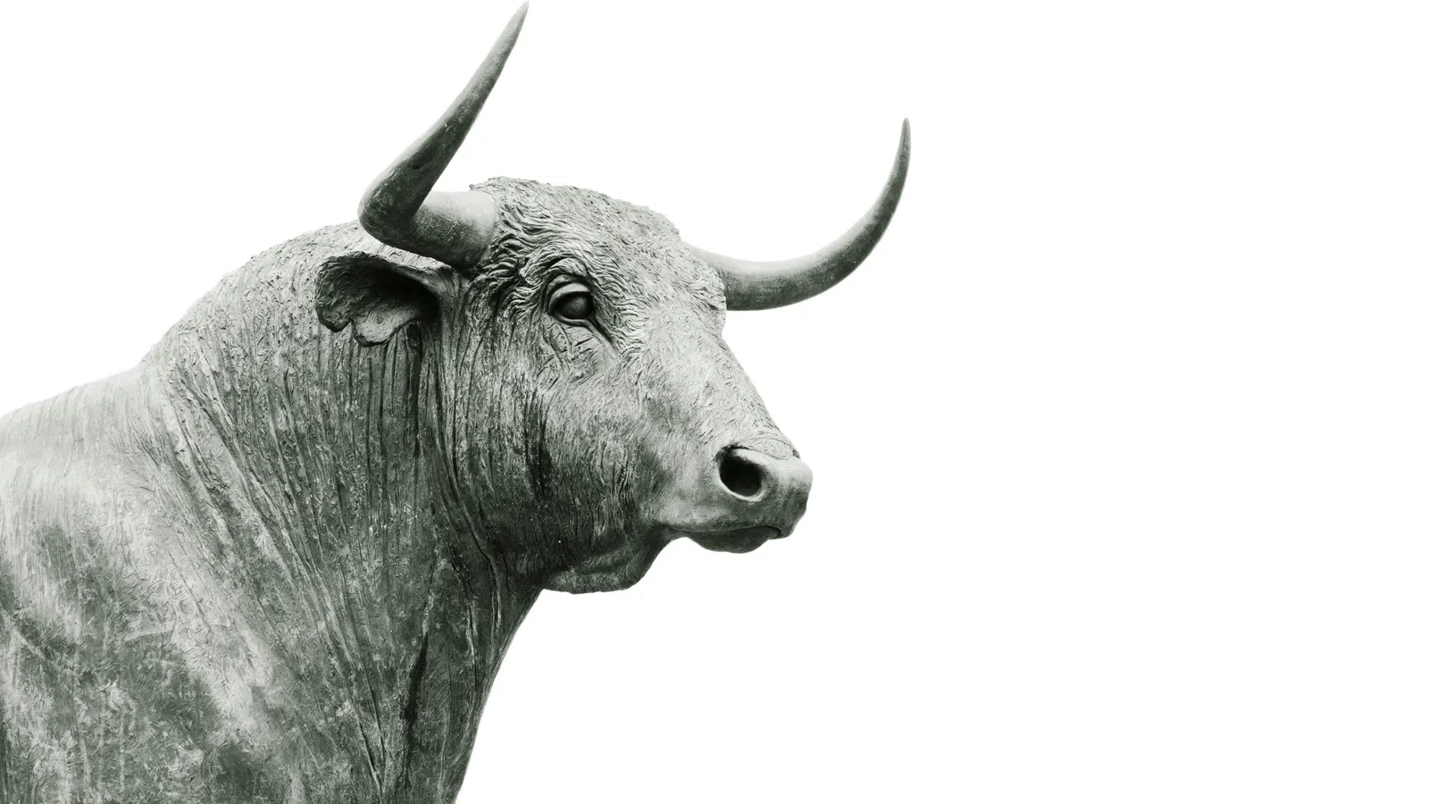 Close-up of a detailed bull sculpture with prominent horns on a white background