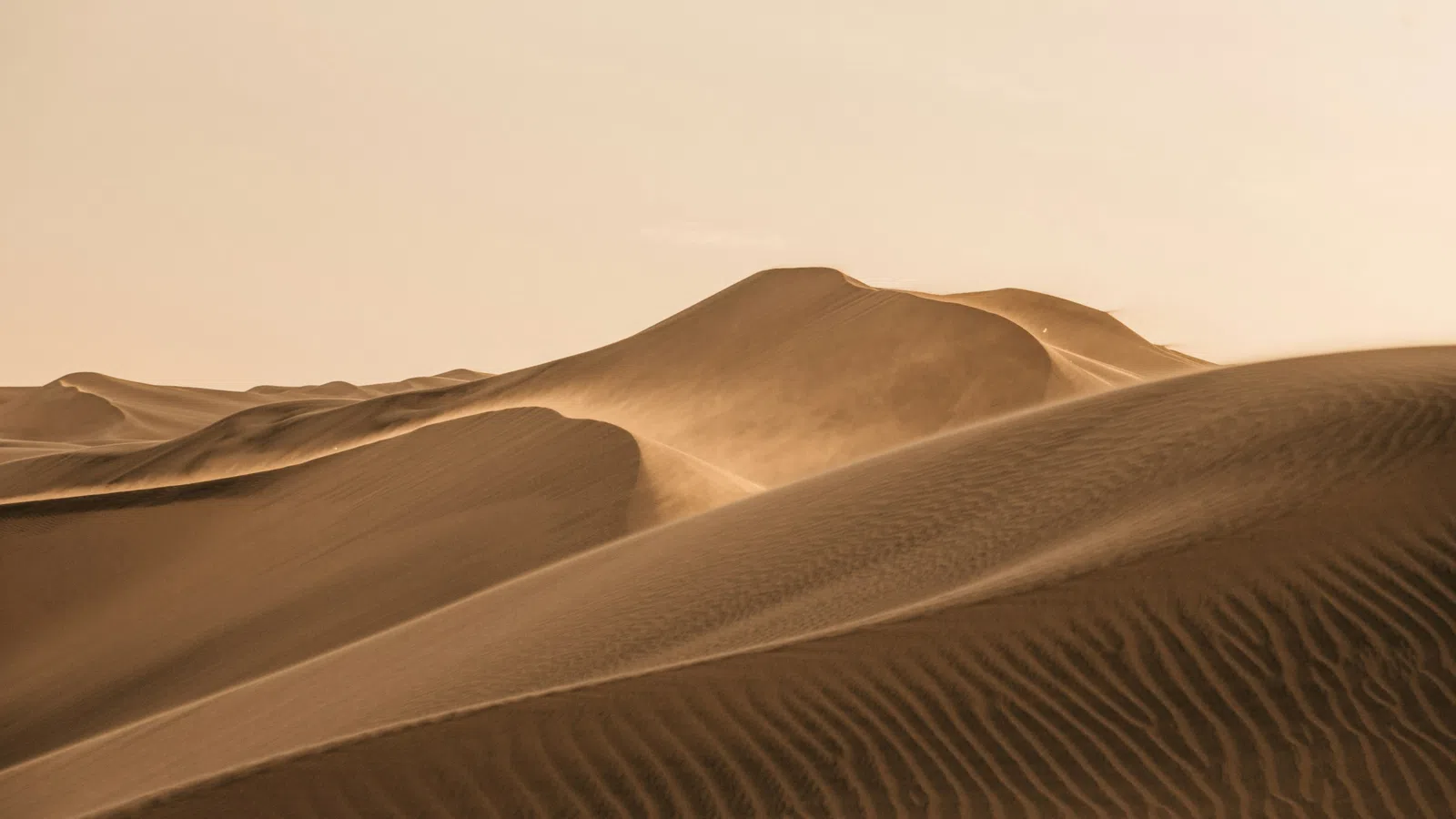 Sunlit sand dunes with wind-blown patterns in a vast desert landscape under a clear sky