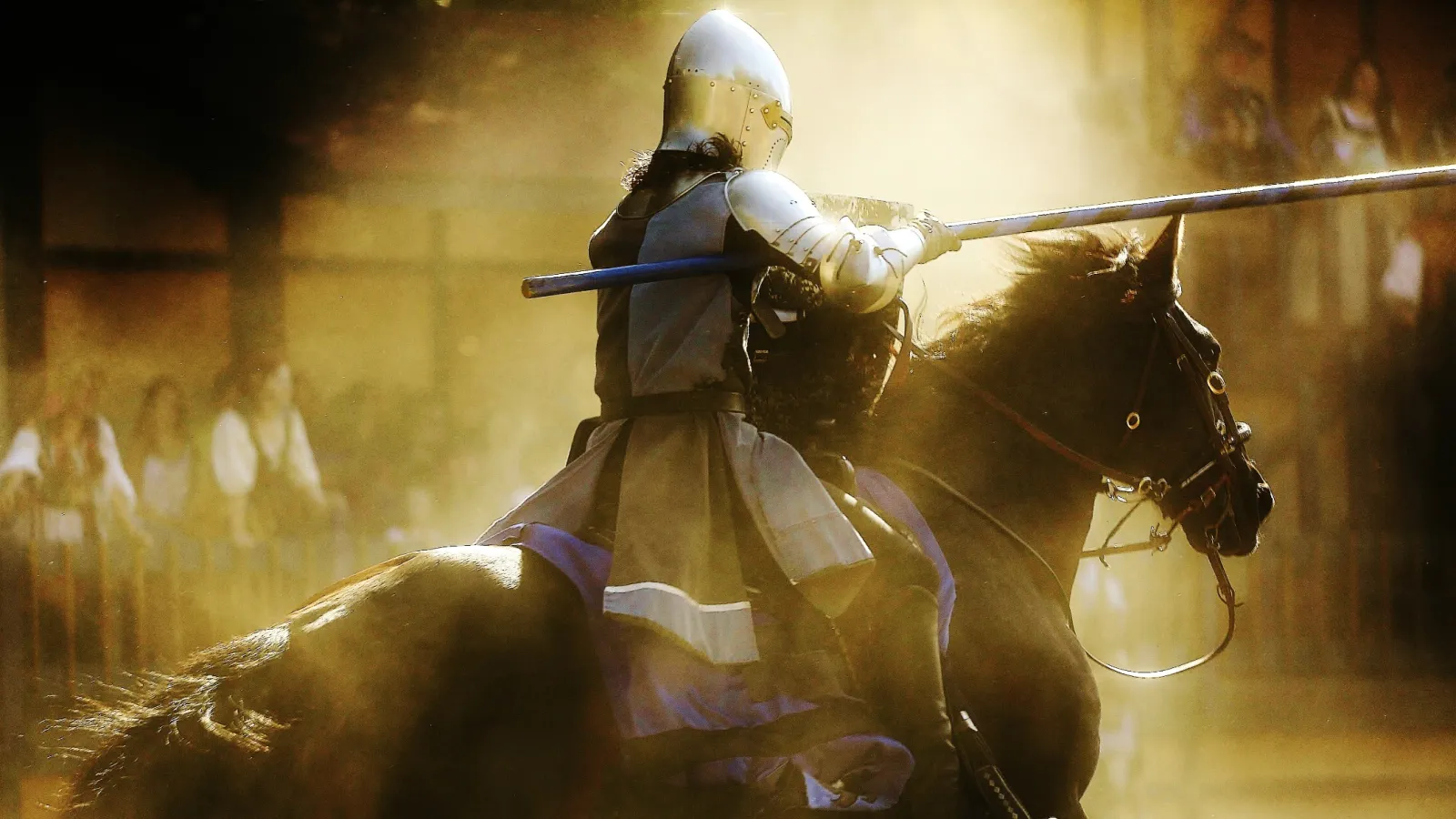 a person riding a horse