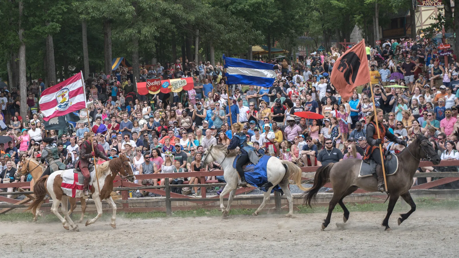 a group of people riding horses with flags