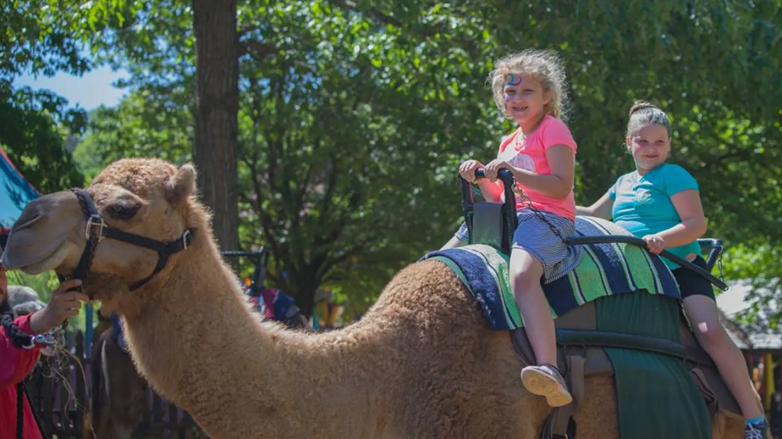 a couple of girls riding camels