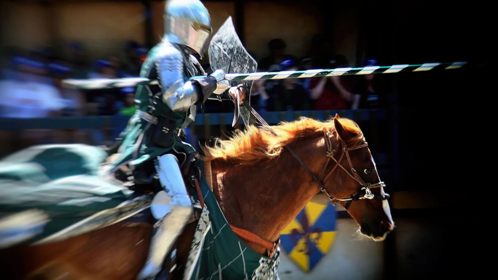 a person riding a horse