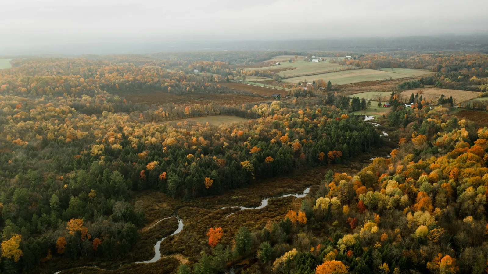 Aerial view of winding river through dense autumn forest with colorful fall foliage and distant farmland under overcast sky